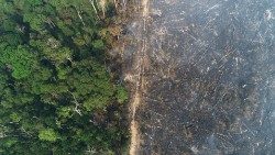 Brand im Regenwald bei Apui am 1. August