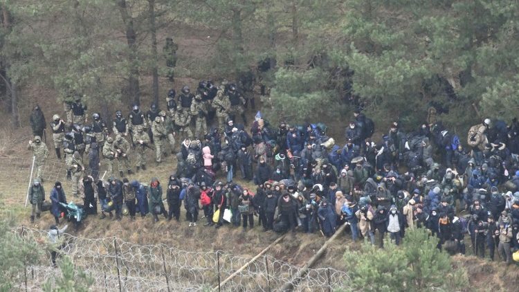 Centaines de migrants à la frontière polono-bélarusse, côté Bélarus, le 8 novembre 2021. 