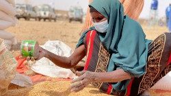 A woman collects grain from for IDP's in Ethiopia