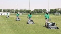 Des employés tondant le gazon d'un stade d'entraînement à Doha, le 30 mai. 