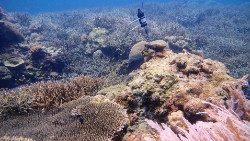 Strumentazione per registrare i suoni sott'acqua nell'Arcipelago di Spermonde in Indonesia