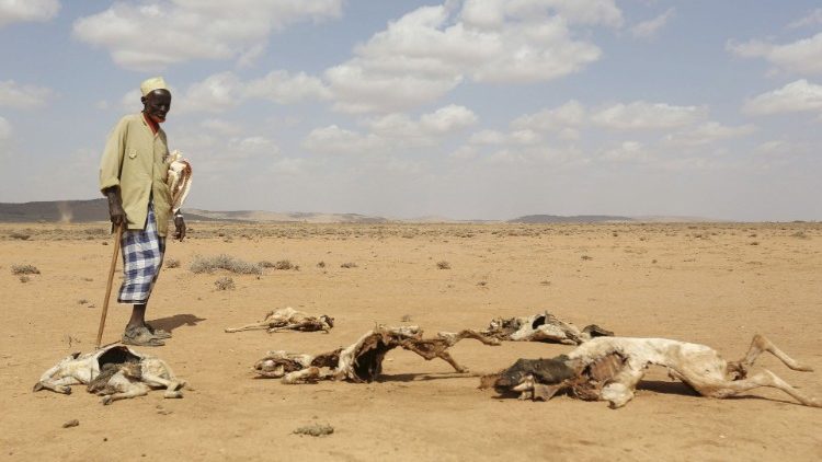 Illustration de la sécheresse au Somaliland, en 2016 à Marodijeex.