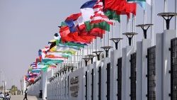 Flags of the states participating in COP27 in Egypt, November 2022