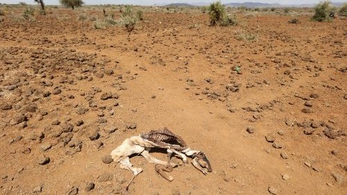 Au Kenya, des milliers de personnes menacées par la sécheresse