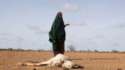 Desde 2020 se vive la peor crisis de sequía en Somalia