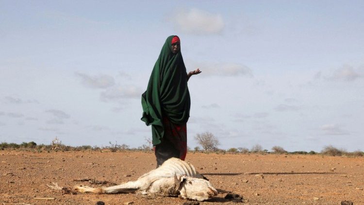 Desde 2020, a Somália sofre a pior seca dos últimos 40 anos