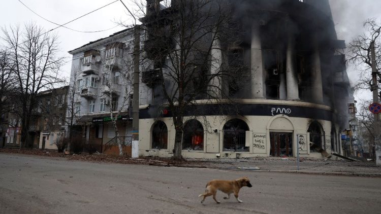 A dog walks past a building burned from a strike, as Russia's attack on Ukraine continues, during intense shelling in Bakhmut, Ukraine, December 26, 2022. REUTERS/Clodagh Kilcoyne