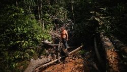 An indigenous Mura man stands in a deforested area of a non-demarcated indigenous land in the Amazon rainforest near Humaita
