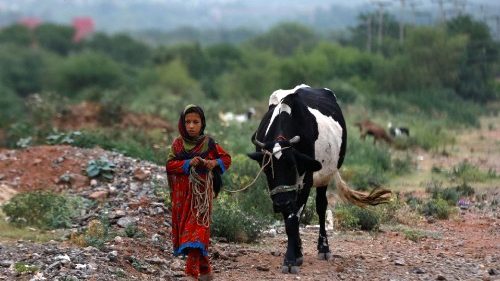 Pakistan: Mädchenbildung dient Zukunft der ganzen Gesellschaft