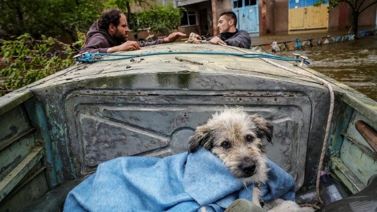 Voluntarios evacuan a un perro de una zona inundada tras la rotura de la presa de Nova Kajovka, en medio del ataque de Rusia a Ucrania, en Jersón, Ucrania, el 12 de junio de 2023.