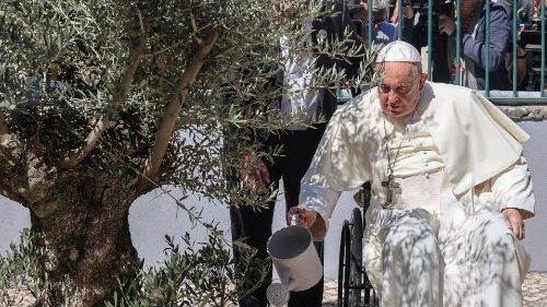 Papa Francisco regando uma oliveira após encontro com jovens de Schollas Occurrentes