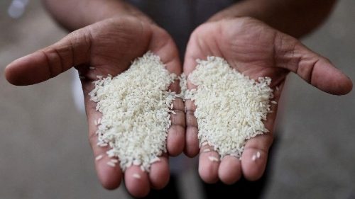 Kann Afrika sich selbst mit Reis versorgen?