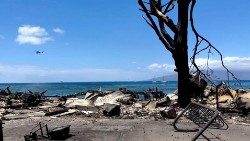 Consecuencias de los incendios en Hawai