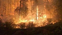Waldbrände in Kanada, Aufnahme vom 18. August