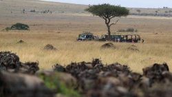 Touristen beobachten die Gnus während ihrer Wanderung zu den grüneren Weiden zwischen dem Maasai Mara Wildreservat und den offenen Ebenen der Serengeti