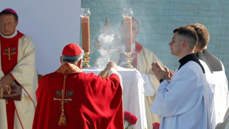 Đức Hồng Y Marcello Semeraro, Tổng trưởng Bộ Tuyên Thánh, chủ sự Thánh lễ tuyên phong chân phước 