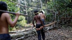 एमाज़ोन वनों में निवास करनेवाले स्वदेशी लोग निर्वनीकरण के बीच, फाईल तस्वीरः 2019 