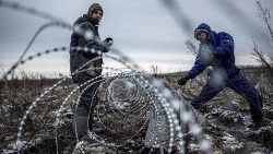 우크라이나 하르키우 지역 최전선 인근에서 방어 철조망을 설치하는 인부들