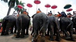 Geschmückte Elefanten nehmen in Trichoor (Kerala) an einem Festival teil