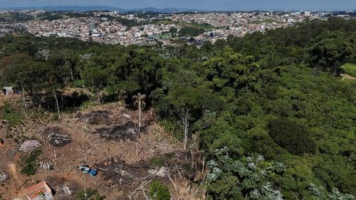 A drone view shows the city and an area under permanent protection that was illegally deforested, in Aruja