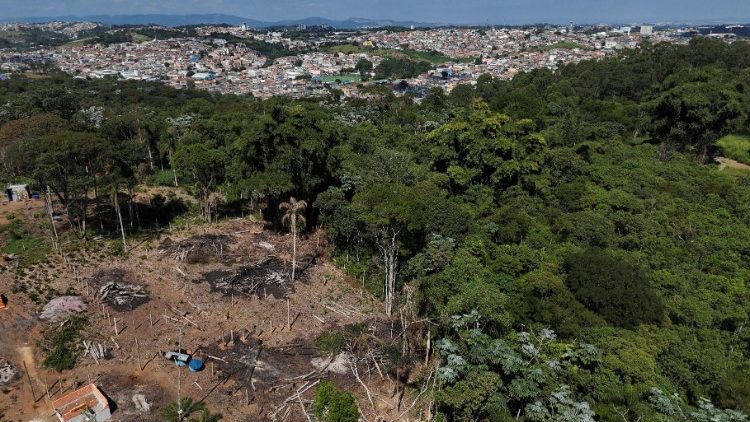 Los efectos de la deforestación en una zona de Brasil, concretamente en Aruja