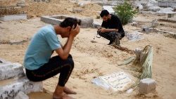 Sabreen Jouda, a Palestinian baby girl, dies a few days after she was saved from the womb of her dying mother, in Rafah in the southern Gaza Strip