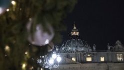 Albero e Presepe di Natale in Piazza San Pietro
