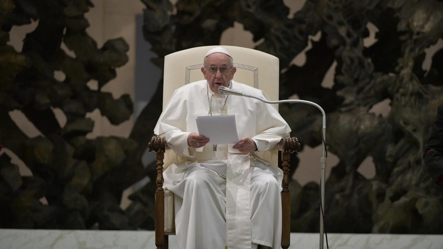 教皇 アラブ首長国連邦への訪問を振り返る 一般謁見 バチカン ニュース
