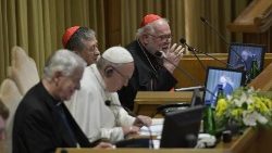 Beim Kinderschutzgipfel vor fünf Jahren im Vatikan