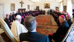 Các Giám mục Úc gặp ĐTC