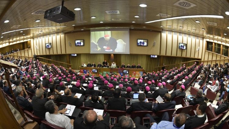 Škofovska sinoda oktobra 2019 v sinodalni dvorani v Vatikanu.