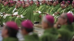 Bishops during a Mass in St Peter's Basilica