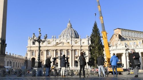 Словенська ялинка прибула на площу Святого Петра у Ватикані