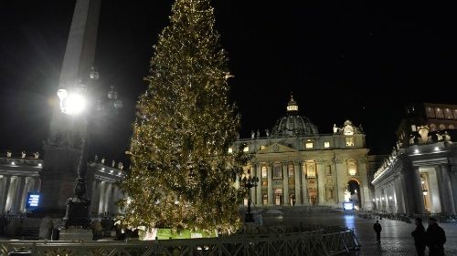 File photo of the 2020 Christmas tree in St. Peter's Square