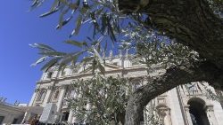 Cvjetnica na Trgu svetog Petra u Vatikanu (arhivska snimka) (Vatican Media)
