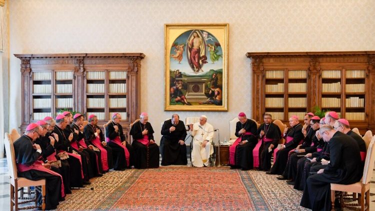 Un groupe d'évêques du Brésil, reçu le 20 juin par le Pape François. 