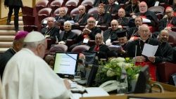 File photo of Pope Francis meeting with Cardinals in the Synod Hall