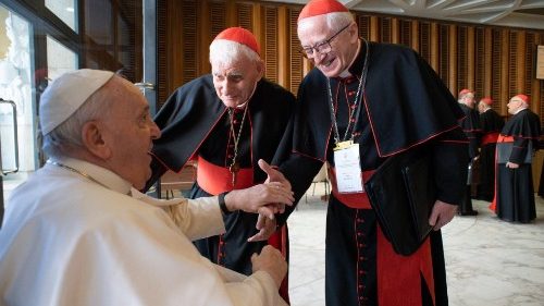 Francisco en reunión con cardenales: Hemos abierto un proceso