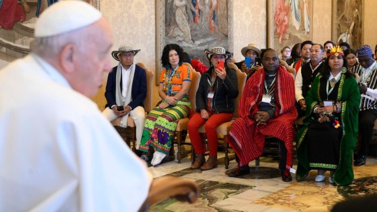 Il Papa durante l'udienza