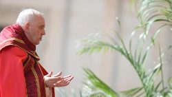 Pope Francis in Saint Peter's Square for the Palm Sunday celebrations