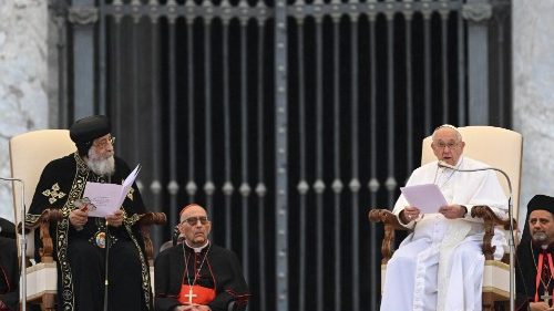 Projev papeže Františka při setkání s papežem Tawadrosem II.