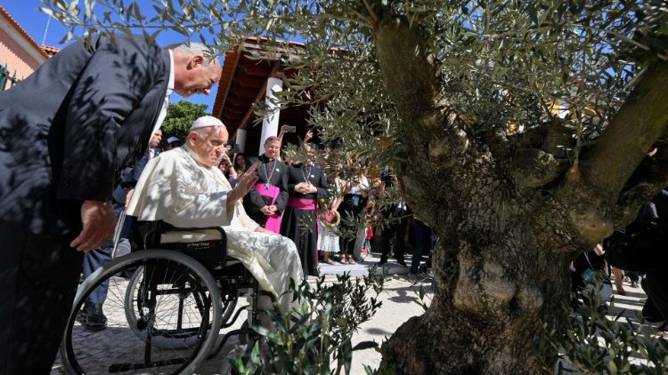 Zasazení olivovníku, symbolu míru