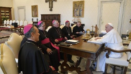 Papa Francisco recebe em audiência a nova presidência do CELAM