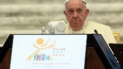 教宗在世界主教會議上