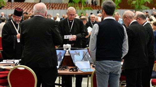 Image from Synod on Synodality's fourth General Congregation
