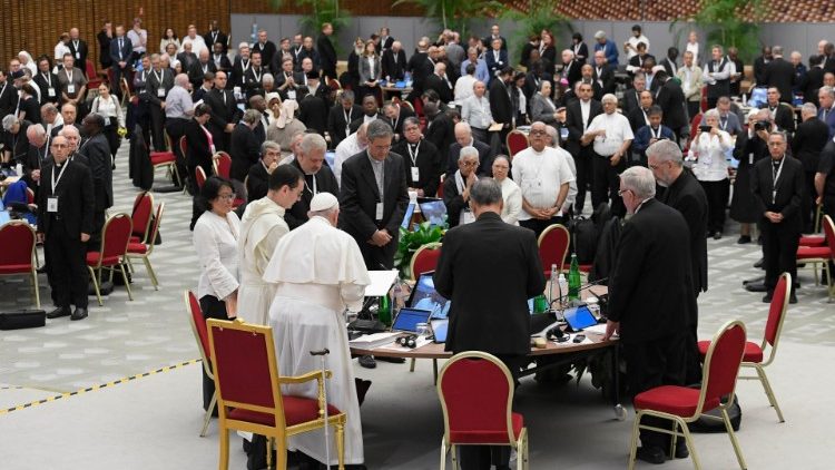 O Papa durante a Congregação Geral da tarde