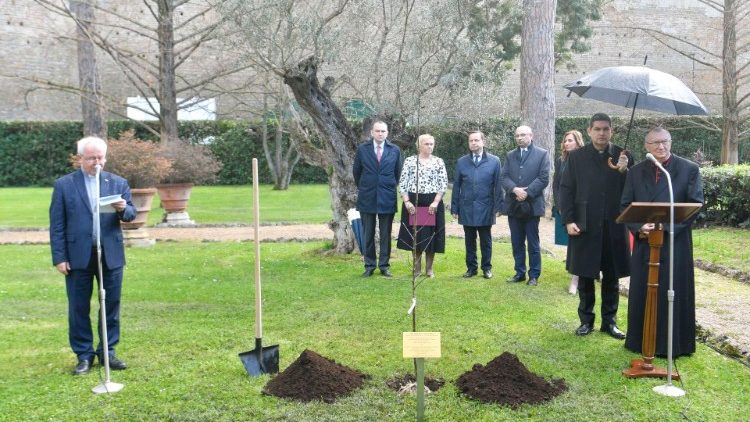 Plantación del manzano donado por la embajada polaca ante la Santa Sede