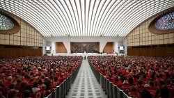 Papež Frančišek je v dvorani Pavla VI. sprejel v avdienco okoli 6000 prostovoljcev in zaposlenih pri Italijanskem Rdečem križu.