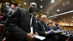 The 'Parish priests for the synod' international meeting 