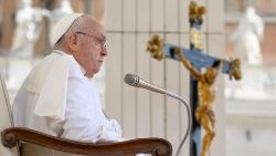 "Necesitamos paz", reiteró el Papa en la Audiencia General 